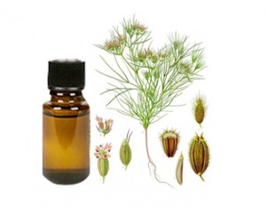 Cumin Seed Essential Oil